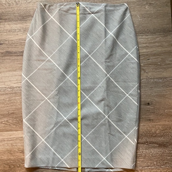 Light Gray Express Skirt with Linear Print - Picture 2 of 8